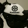 Stick3D - Stickers "Kawasaki Team Racing" – Vinyle Permanent Moto 🛡️